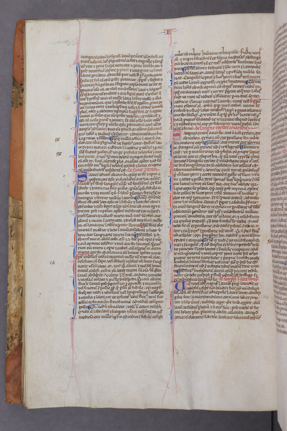 Folio 67 verso